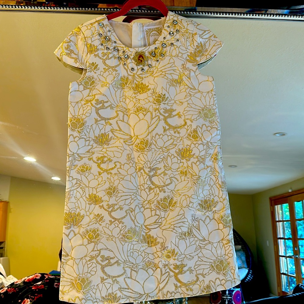 Disney Princess Gorgeous Dress